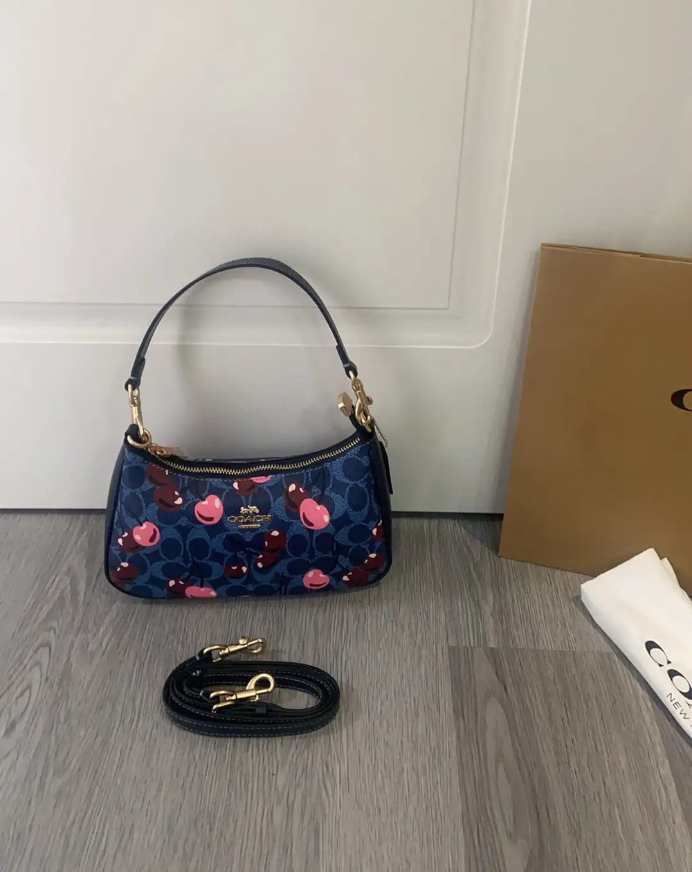 Coach Cherry Teri Crossbody Bag